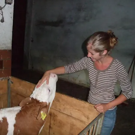 Apartment Hans Girgl Hof Langdorf (Regen)