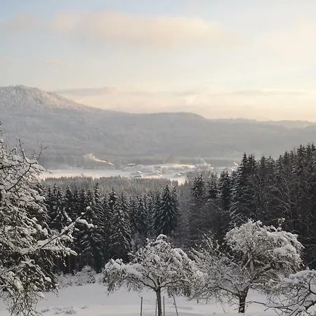 Lägenhet Hans-Girgl-Hof Langdorf (Regen)