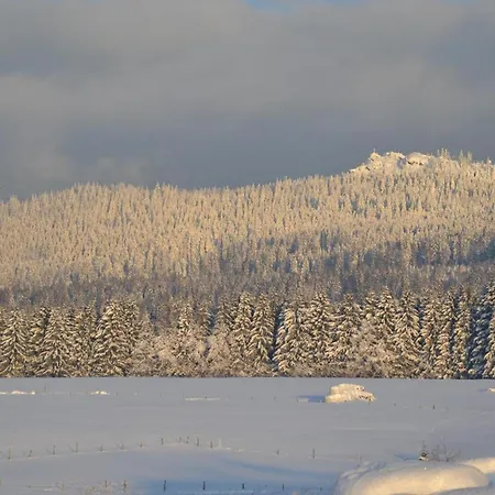 Hans-girgl-hof *