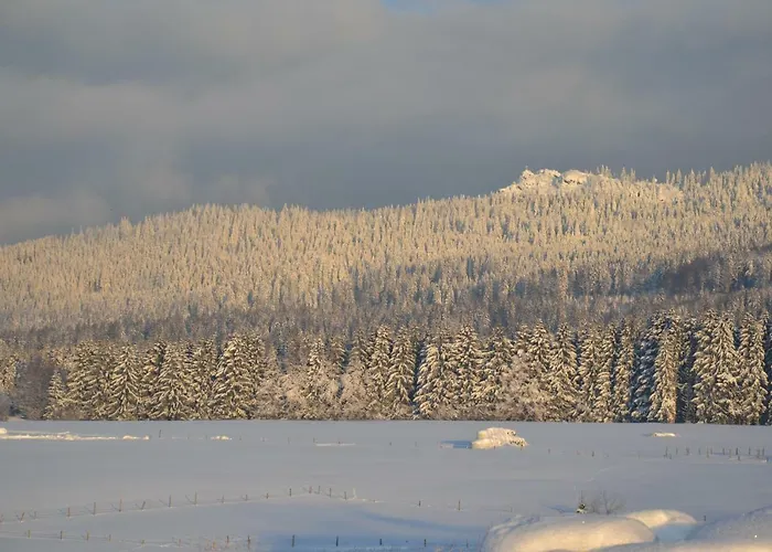Hans Girgl Hof * Langdorf (Regen)
